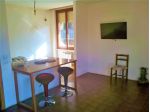 AMPIO APPARTAMENTO RISTRUTTURATO