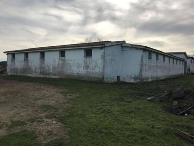Immobile in asta di 1700 m² in vendita a Nulvi - Foto 2