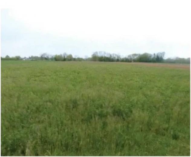 Immobile in asta di 29838 m² in vendita a Paese - Foto 8