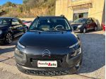 Citroen C4 Cactus BlueHDi 100 S&S Shine - 2015