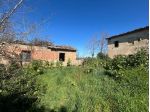 Colonica in vendita a Torre a Castello - Asciano 800 mq  Rif: 1312814