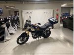 Triumph Tiger 900 Rally Pro Abs