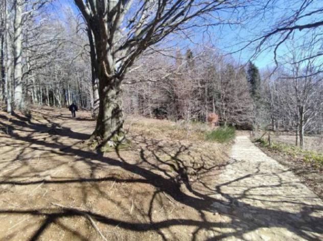 Immobile in asta di 130855 m² in vendita a Verghereto - Foto 14