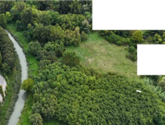 Immobile in asta di 49900 m² in vendita a Mantova - Foto 5