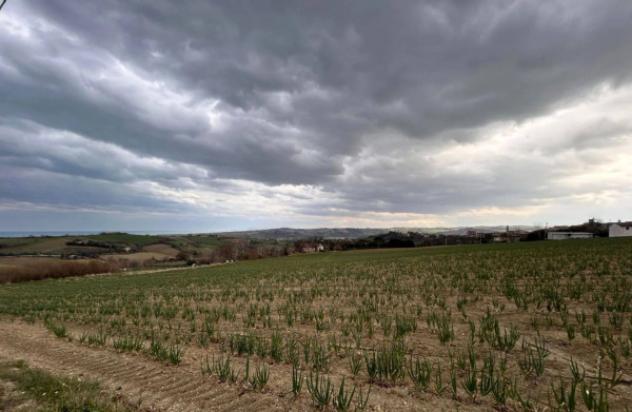 Immobile in asta di 15707 m² in vendita a Mondolfo - Foto 8