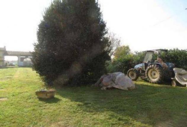 Immobile in asta di 352 m² in vendita a Oviglio - Foto 4