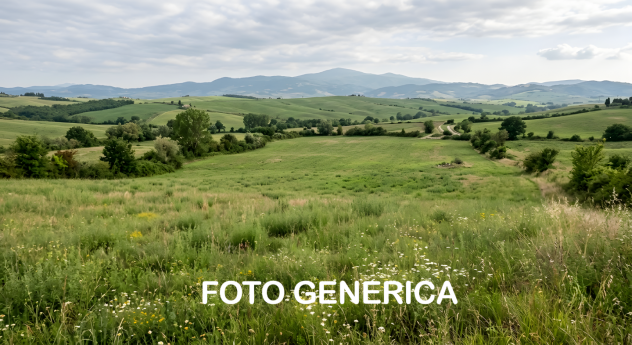 Terreno agricolo in vendita a San Miniato 8630 mq Rif: 1428860