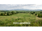 Terreno agricolo in vendita a San Miniato 8630 mq  Rif: 1428860