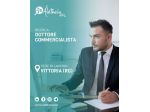 Dottore commercialista