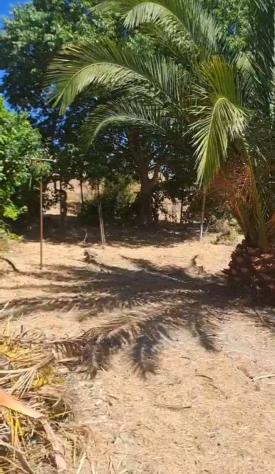 Terreno in vendita a Rosolini - Foto 10