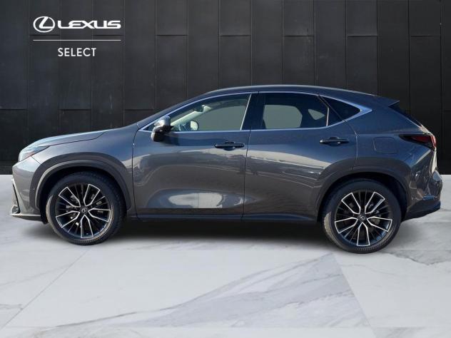 Lexus NX Plug-in 4WD Luxury - Foto 6