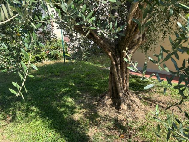 Duplex in vendita a Gello - San Giuliano Terme 195 mq Rif: 1444599 - Foto 3