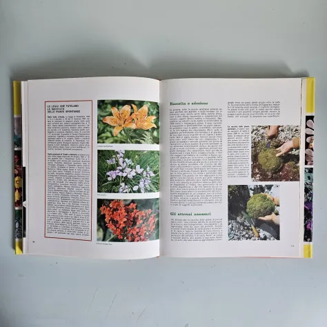 Terrazze e Giardini - Guida Pratica al Giardinaggio - European Book - 1991 - Foto 4