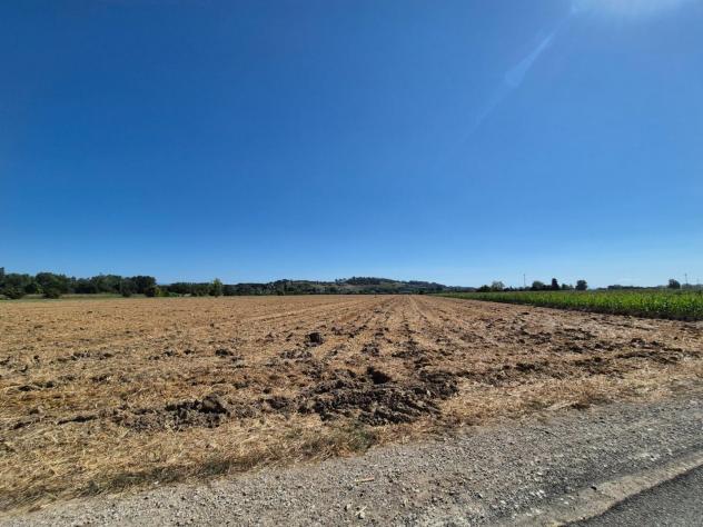 Terreno agricolo in vendita a Fucecchio 1500 mq Rif: 1339884 - Foto 3
