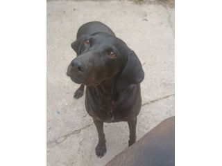 Giuditta