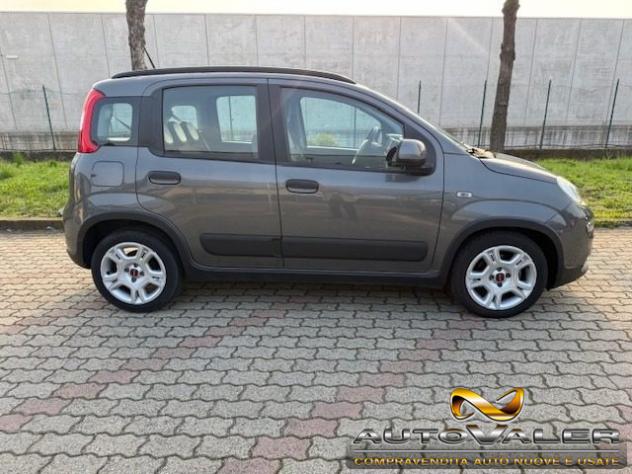 FIAT Panda 1.0 firefly hybrid City Life s&s 70cv 5p rif. 23798866 - Foto 5