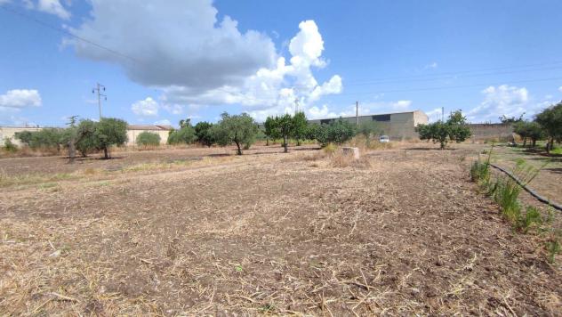 Terreno Agricolo - San Severo . Rif.: Cod. rif 3294216VCG - Foto 14