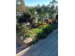 Appartamento in vendita a Cinigiano 80 mq  Rif: 1398002