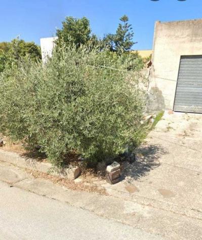 Industriale in vendita a Buseto Palizzolo - Foto 3