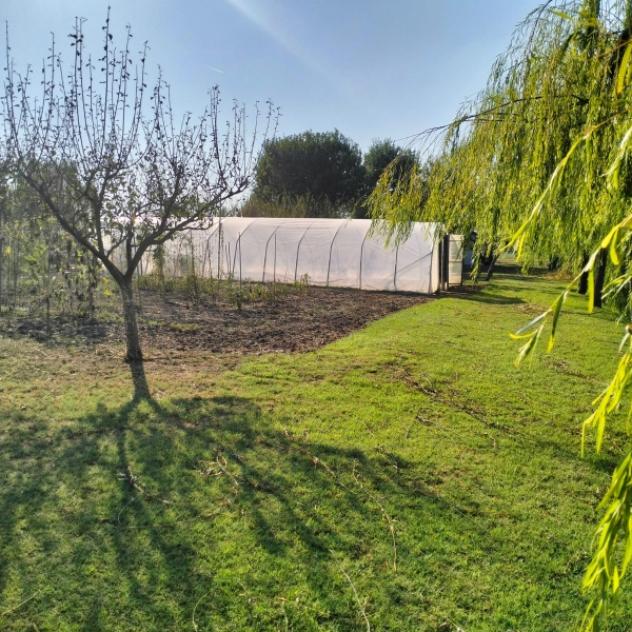 C031. CARPI CAMPAGNA. TERRENO AGRICOLO CON LAGETTO E CAPANNONCINO. - Foto 5