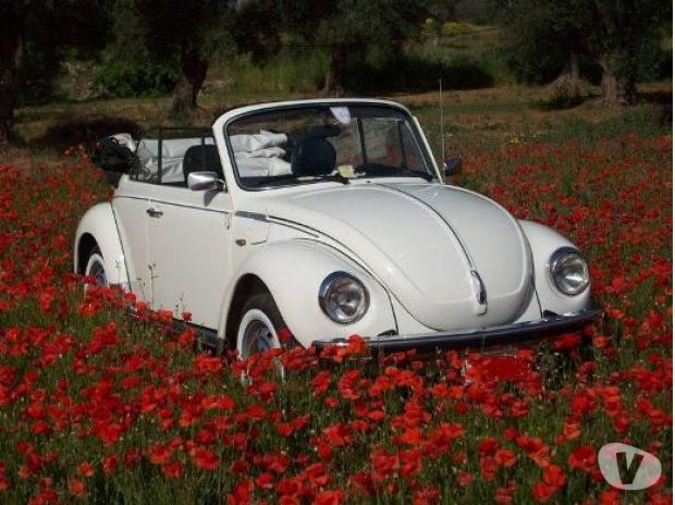 Noleggio occasionalme maggiolone cabriolet per matrimoni ed eventi 347908638 - Foto 3