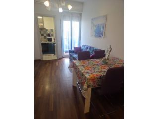 Milano - Via Rembrant 27ottimo appartamento -in locazione . mq 65 bilocale …