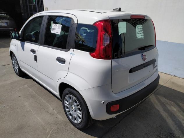 FIAT Pandina 65 Pandina hybrid Icon Promo CBC 5 - Foto 5
