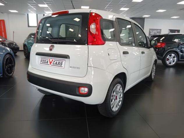 FIAT Panda 1.0 FireFly S&S Hybrid rif. 23981264 - Foto 8