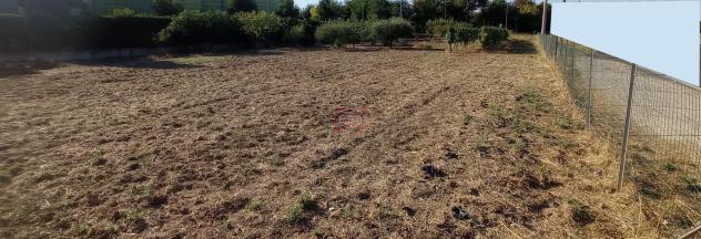 SANT'ANGELO DI GATTEO (TEC212) - Lotto di terreno in parte edificabile e in parte agricolo - Foto 2