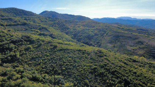 Agricolo in Via Piano Grande - Foto 4