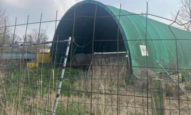 Immobile in asta di 10661 m² in vendita a San Possidonio - Foto 4