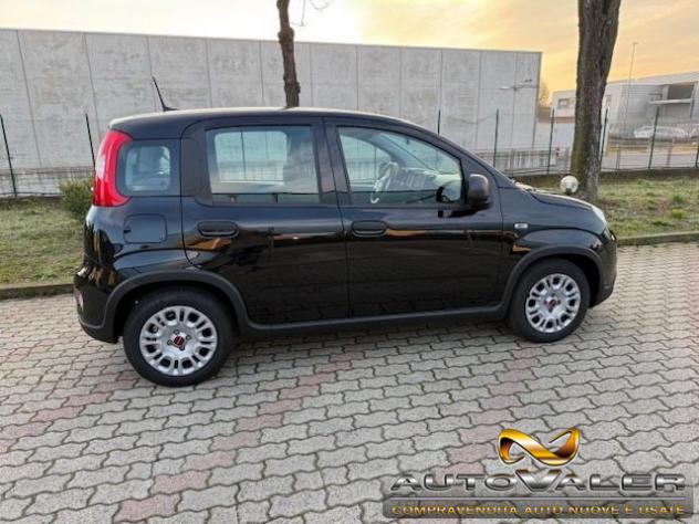 FIAT Panda 1.0 FireFly S&S Hybrid,Bluetooth rif. 23983697 - Foto 5
