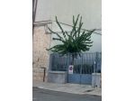 Casamassima: Corso Garibaldi - Soluzione Indipendente
