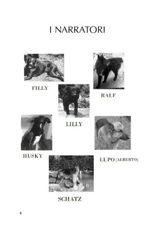 VITE DA CANI - Un libro per chi ama profondamente i cani - Foto 4