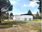 Commerciale in vendita a Olevano Romano