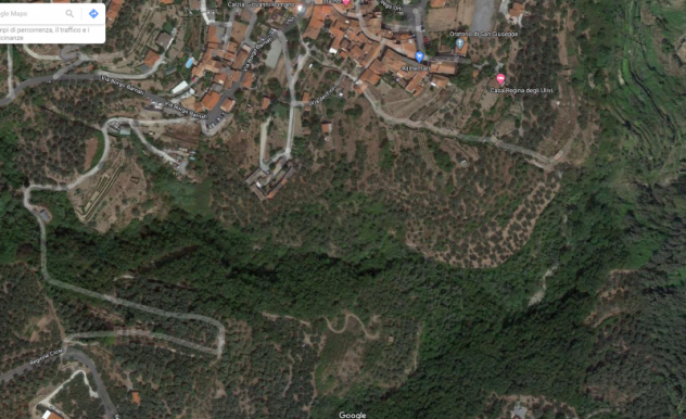 Terreno agricolo DI 8700 MQ in Vendita a Pontedassio zona Villa Viani