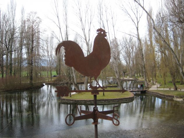 gallo segnavento - Foto 2
