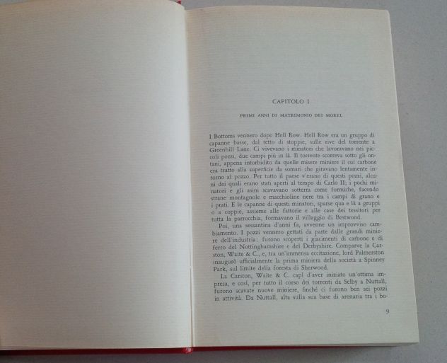 David Herbert Lawrence - Figli e amanti - Foto 4