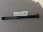 Perno asse forcellone ø12 L165 M12 P1,25