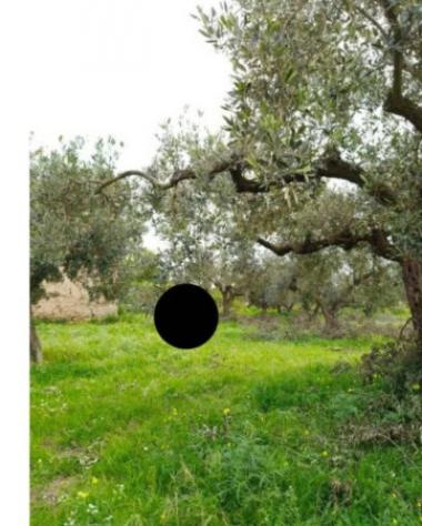 Immobile in asta di 6740 m² in vendita a Castelvetrano - Foto 4