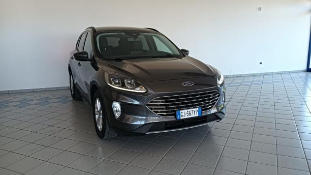 Ford Kuga 1.5 EcoBlue 120 CV 2WD Titanium Business