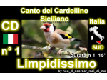 CD CANTO DEL CARDELLINO DI PALERMO