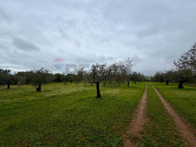 Terreno in vendita a Chiaramonte Gulfi - Foto 10