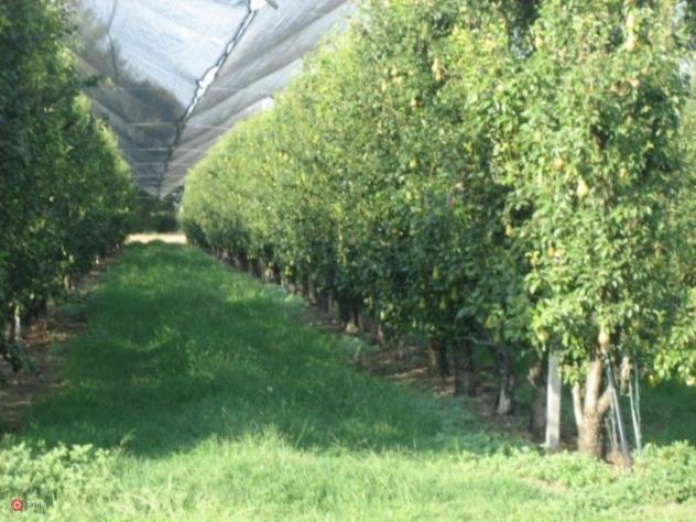 Terreno agricolo in Vendita in Via Carpi Ravarino 619 a Soliera - Foto 10