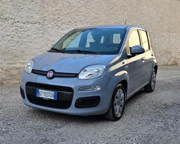 Fiat Panda 1.0 FireFly 70CV S&S Hybrid - Foto 2