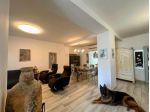 Casa semindipendente in vendita a Venturina Terme - Campiglia Marittima 130 &hellip;