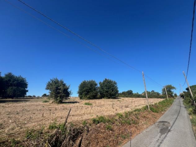Agricolo in Strada di Sant'Anna - Foto 7