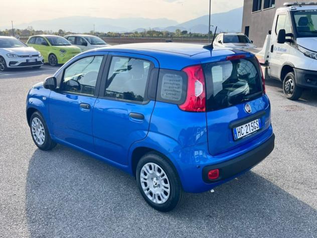 FIAT Panda 1.0 FireFly S&S Hybrid Icon - Foto 4