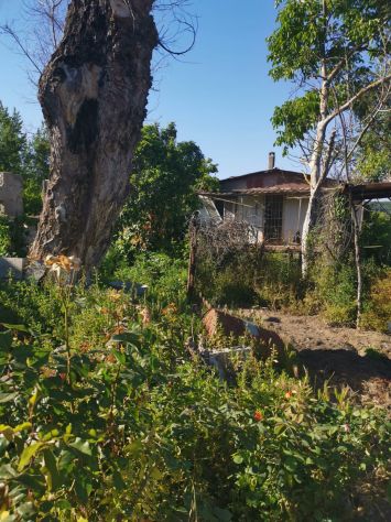 Pozzuoli via Petrarsa Ampio appezzamento terreno con ruderi sovrastanti - Foto 9