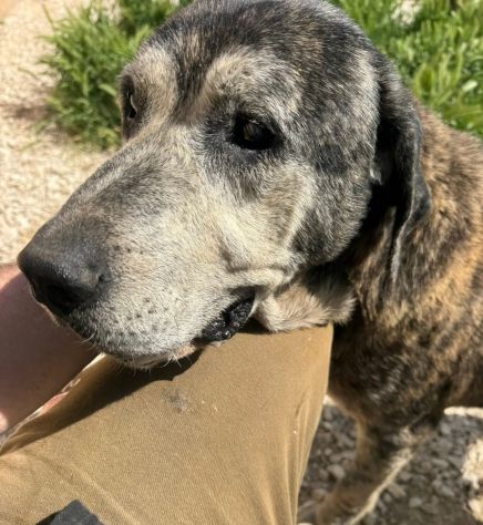 UGO 12 ANNI - Foto 8